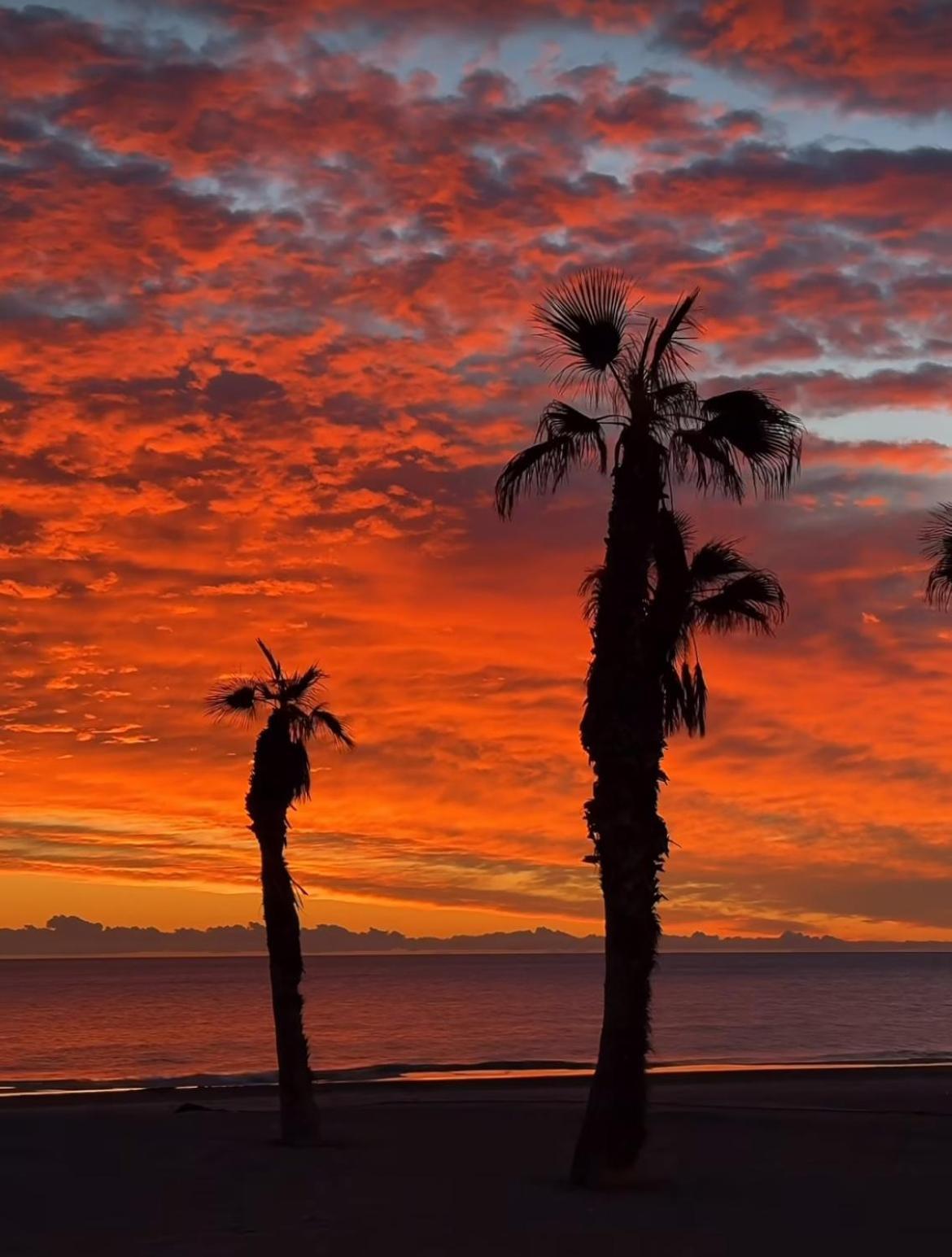 Appartamento Stunning Sea View Alicante Esterno foto