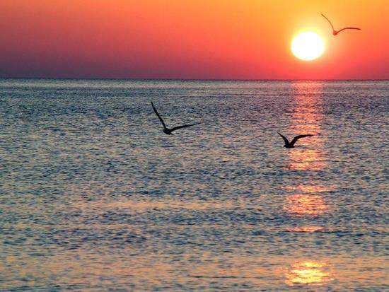 Appartamento Stunning Sea View Alicante Esterno foto
