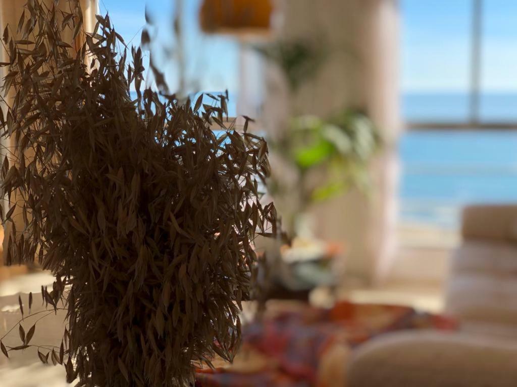 Appartamento Stunning Sea View Alicante Esterno foto
